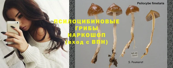 кокаин перу Дмитриев
