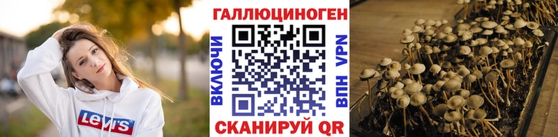 Псилоцибиновые грибы MAGIC MUSHROOMS  как найти   Артём 